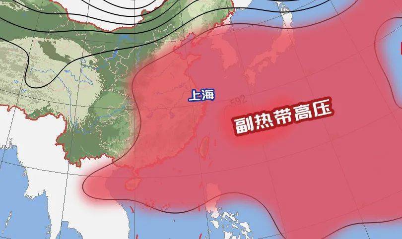 上海一男子游泳时突发疾病，不幸去世！医生紧急提醒：警惕这些病→