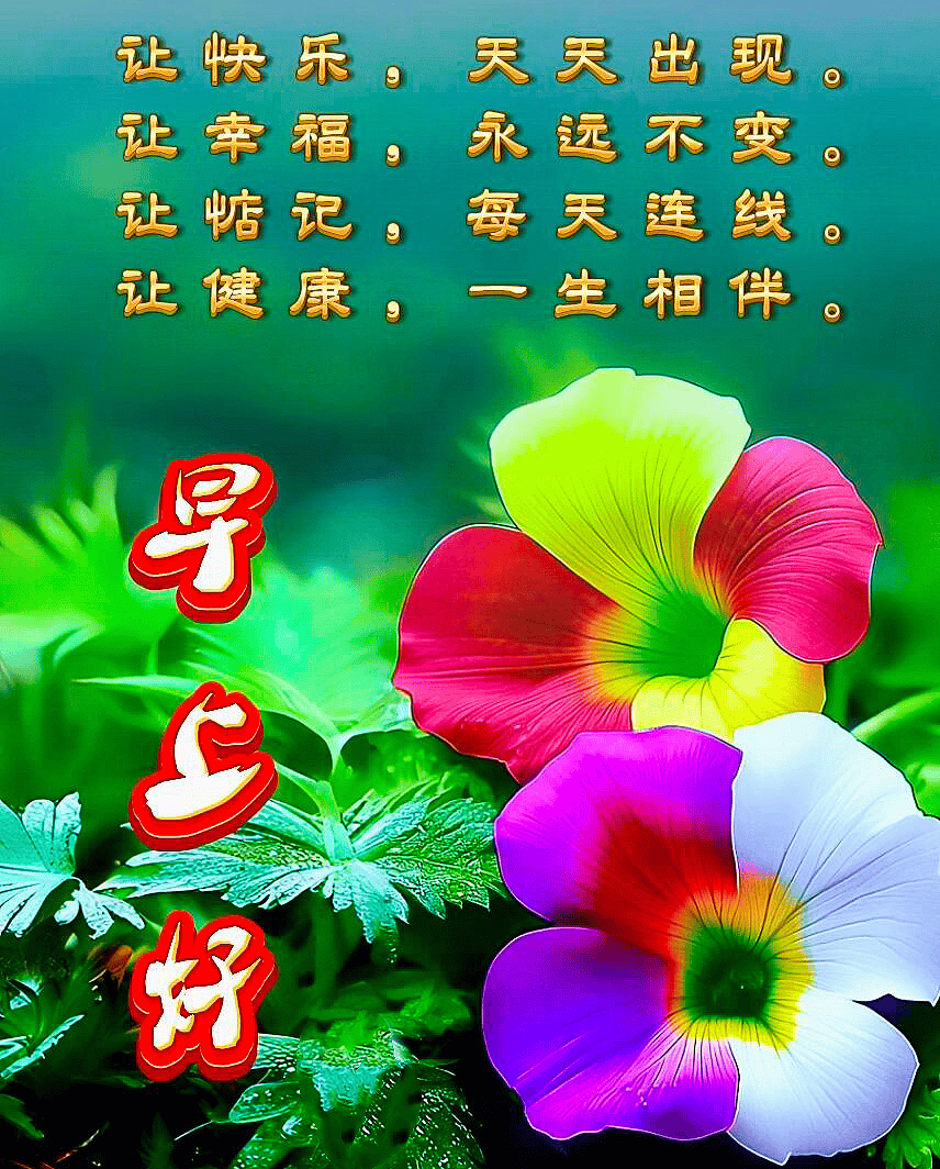 早安正能量语录