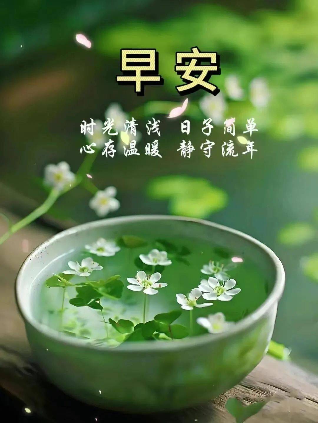 8月26日早上好励志图片带正能量句子 早安语录励志说说文案