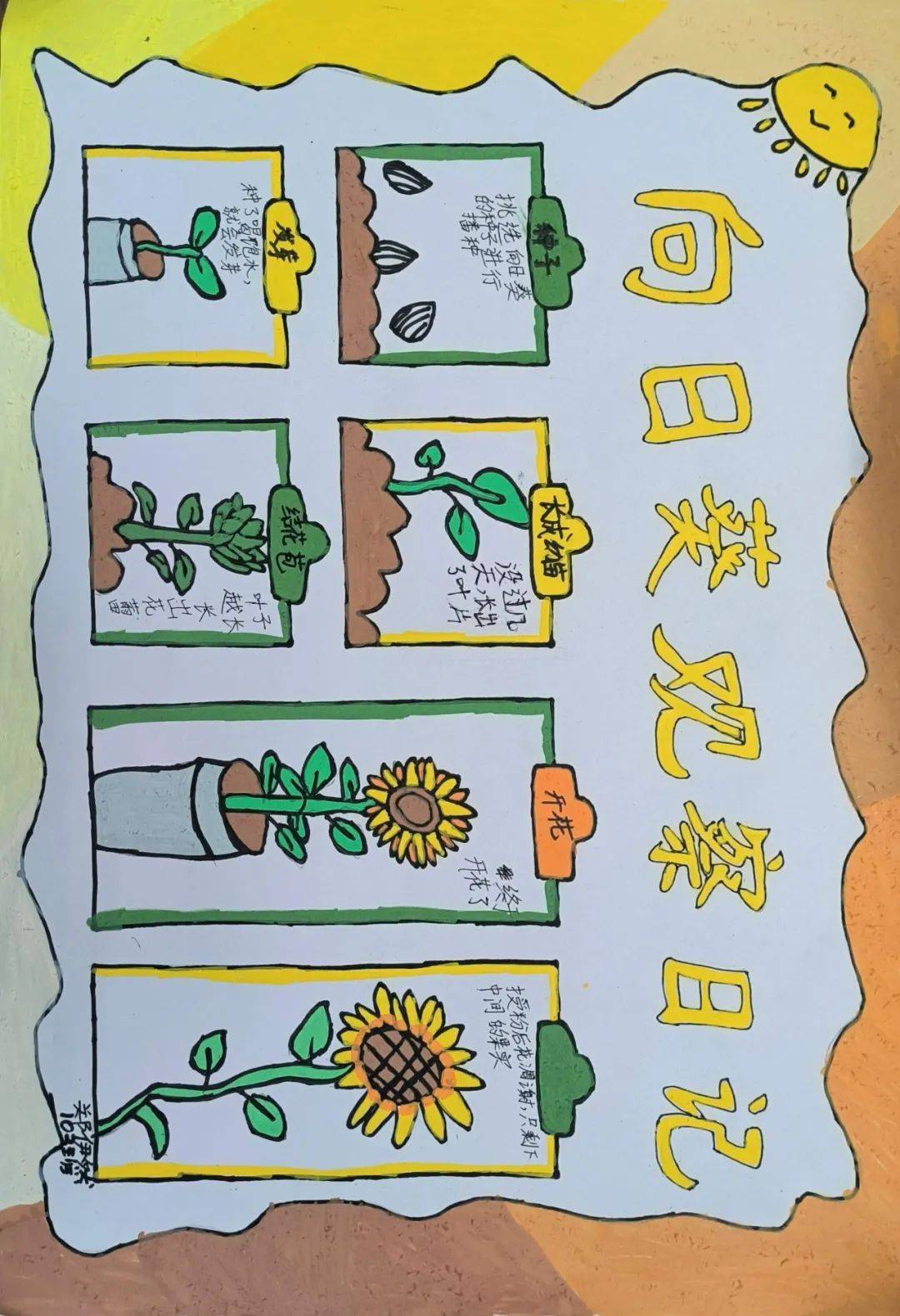 观察自然,敬畏生命,这个夏天,我们为大自然留下了最美的童年注脚!