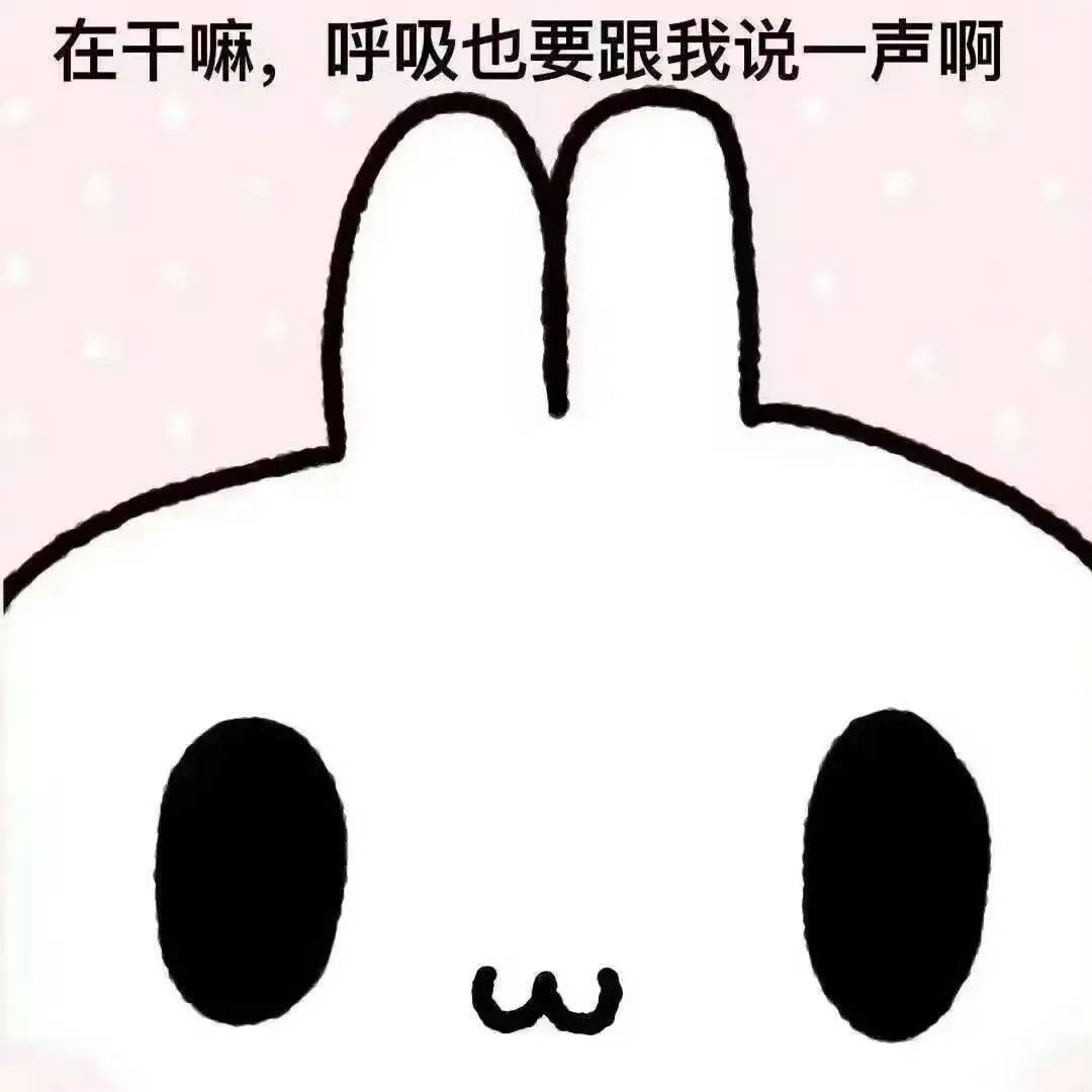 实用聊天表情包!