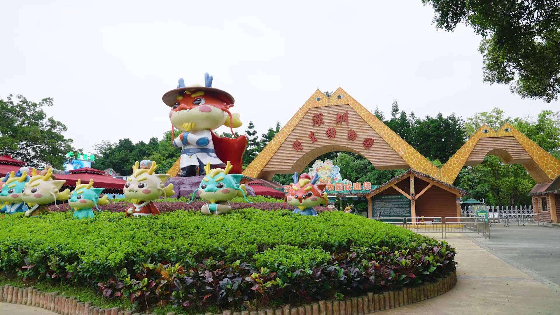 西丽小学跨学科项目式学习动物篇深圳野生动物园 深圳南山区西丽小学