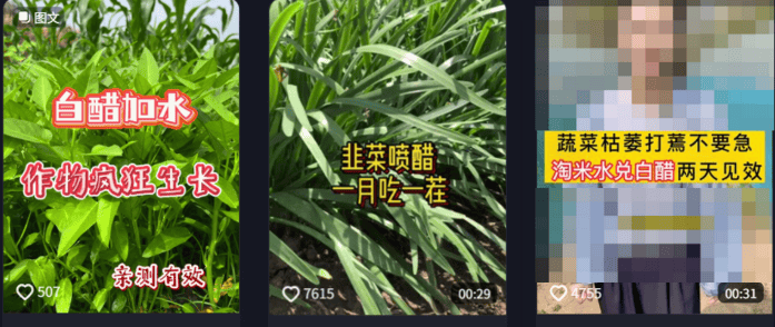 为了骗农民的钱，这群人注册了上千个账号。