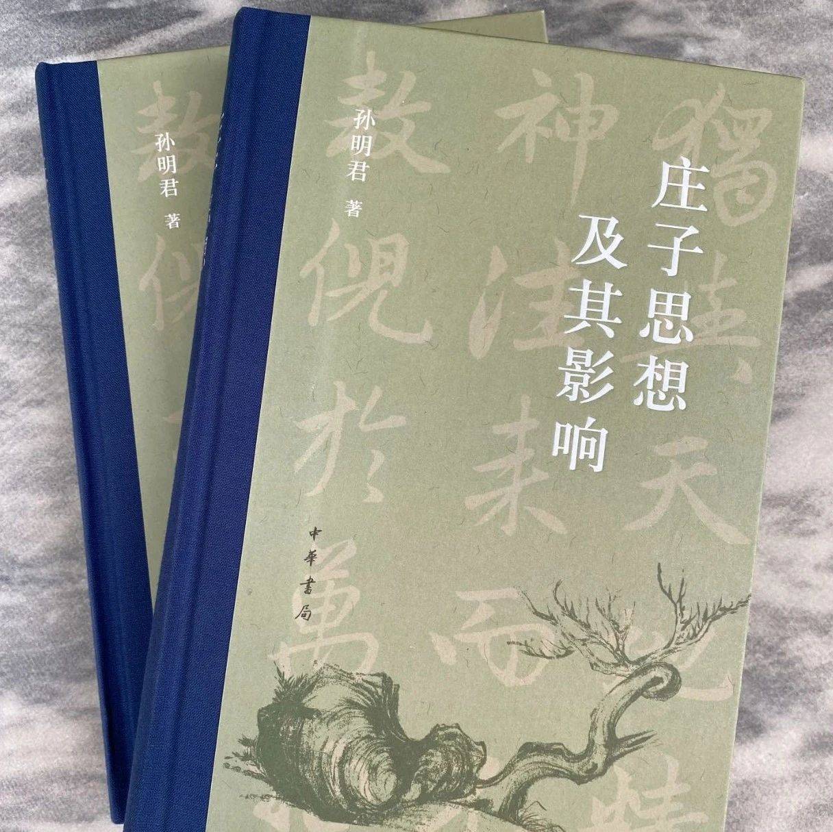 走向人间丨《庄子思想及其影响》出版学界研究层面 