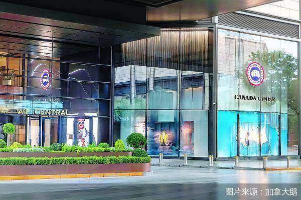 南宫28官网- 南宫28官方网站- APP下载加拿大鹅要被卖了？