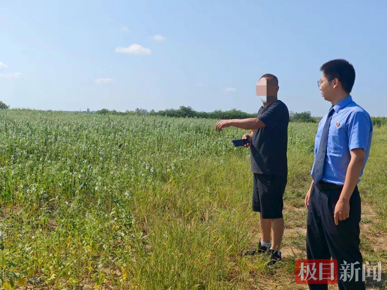 盗挖良田下的8400吨“土黄金”，男子获刑！