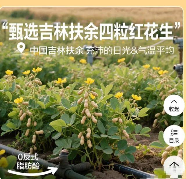 花生上树，你敢吃吗？