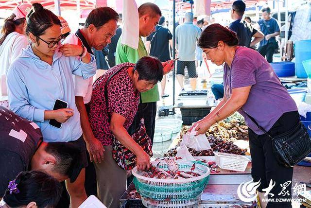 烟台正式开海，“金秋第一鲜”价格已经打听好了！