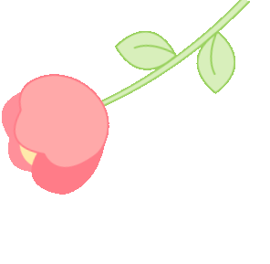 甜蜜回顾 | 我们的节日—七夕
