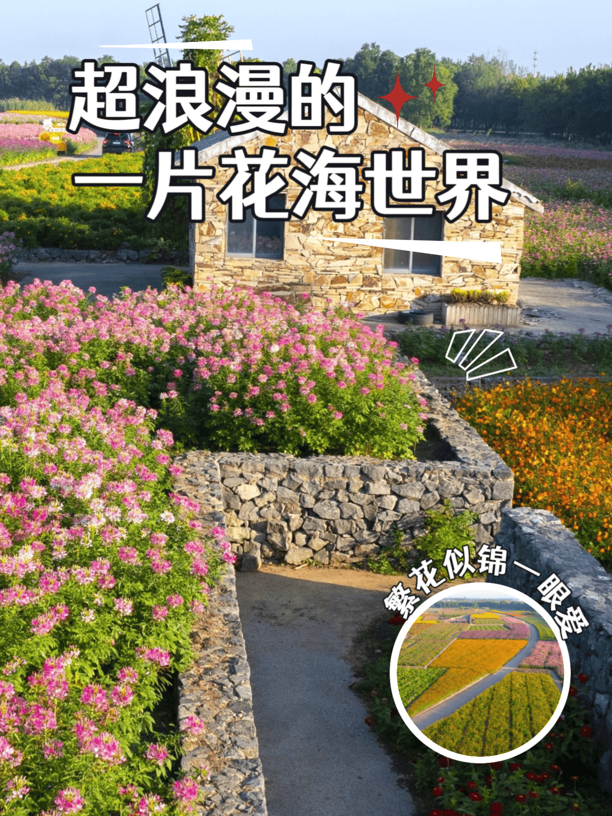 9月必冲!三台山秋季花海花期预告清单已上线