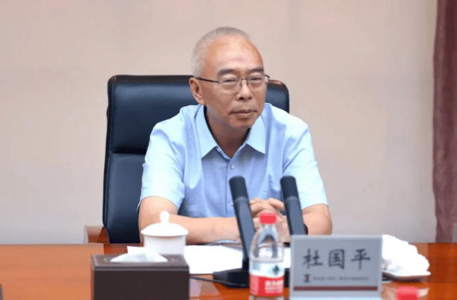 杜国平，被查