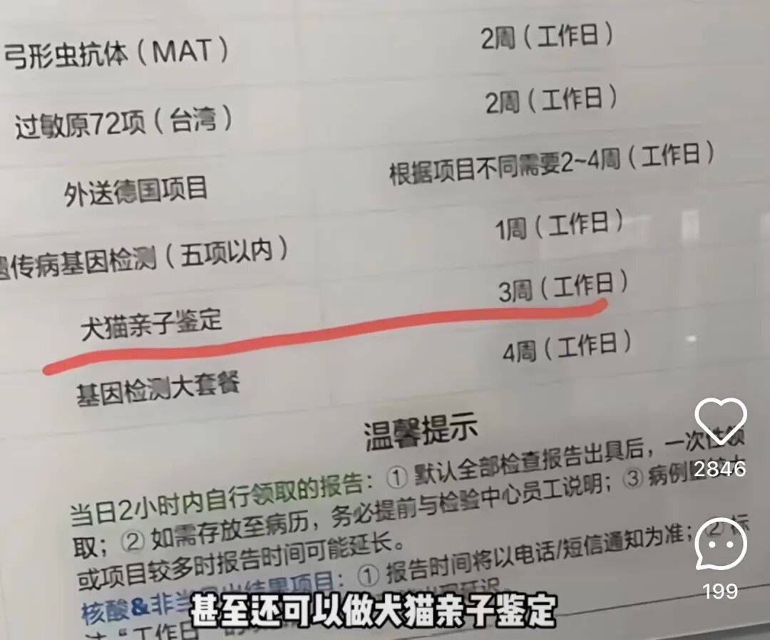 新型「销金窟」，捞了中国人3000亿？