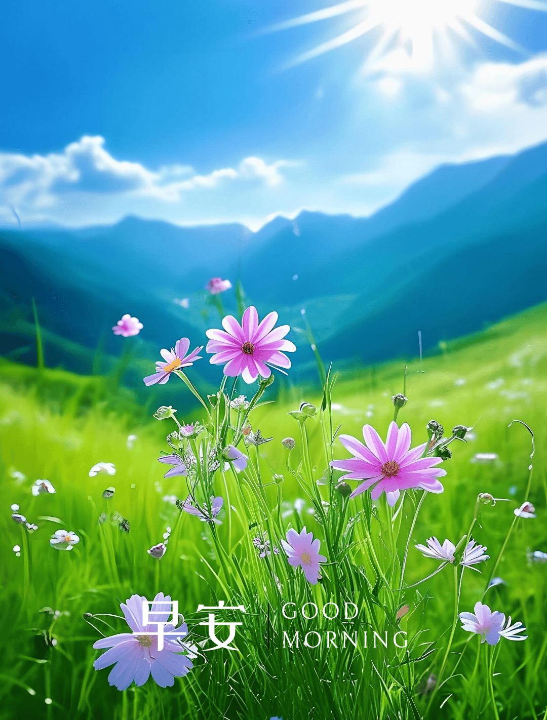 9月8日早安正能量励志文案短句,早安心语