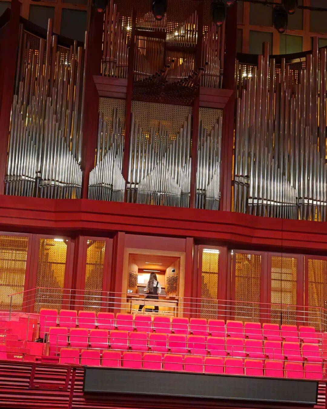 这个夏天,深圳音乐厅把艺术玩出"n种花样"