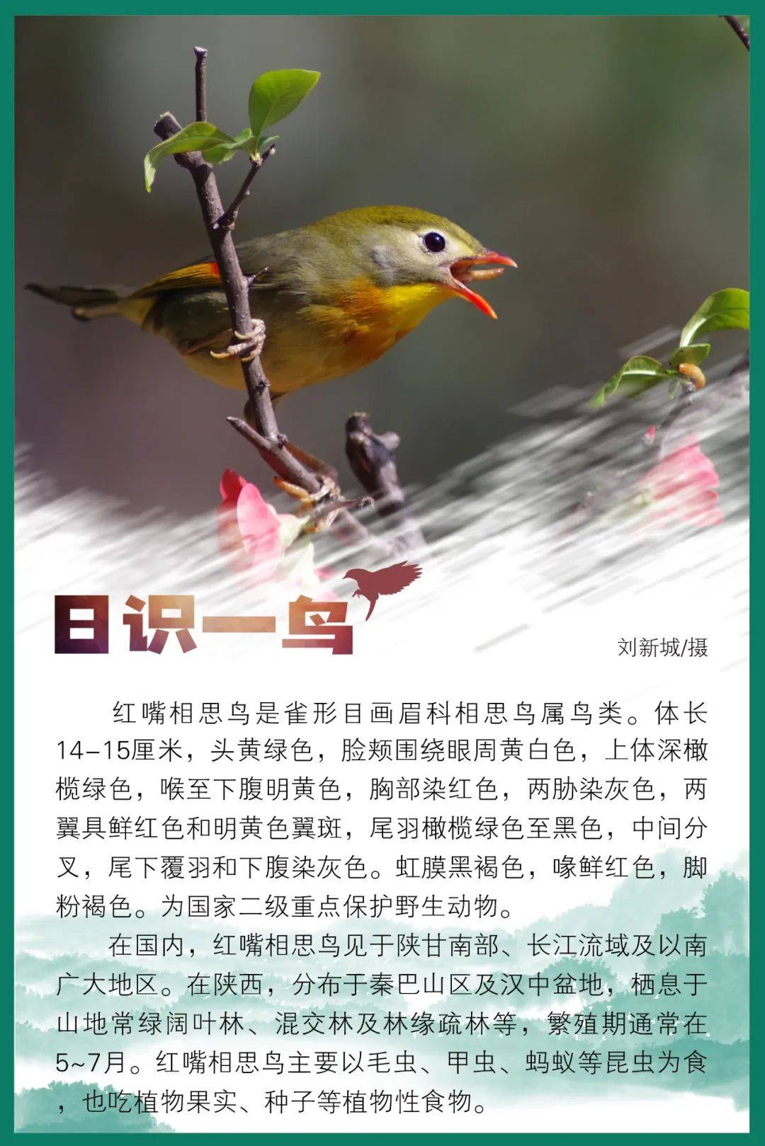 日识一鸟