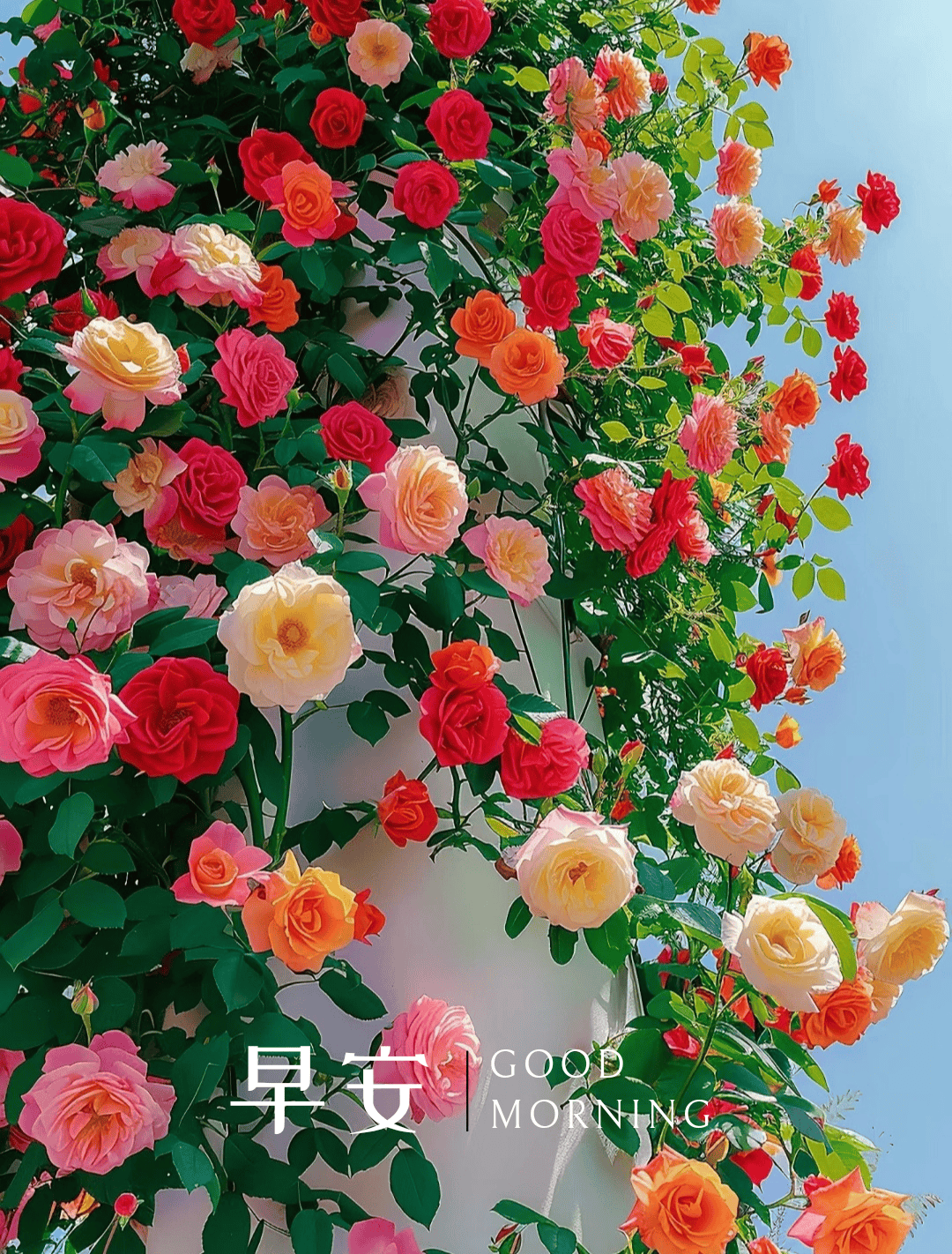 9月8日早安正能量励志文案短句,早安心语