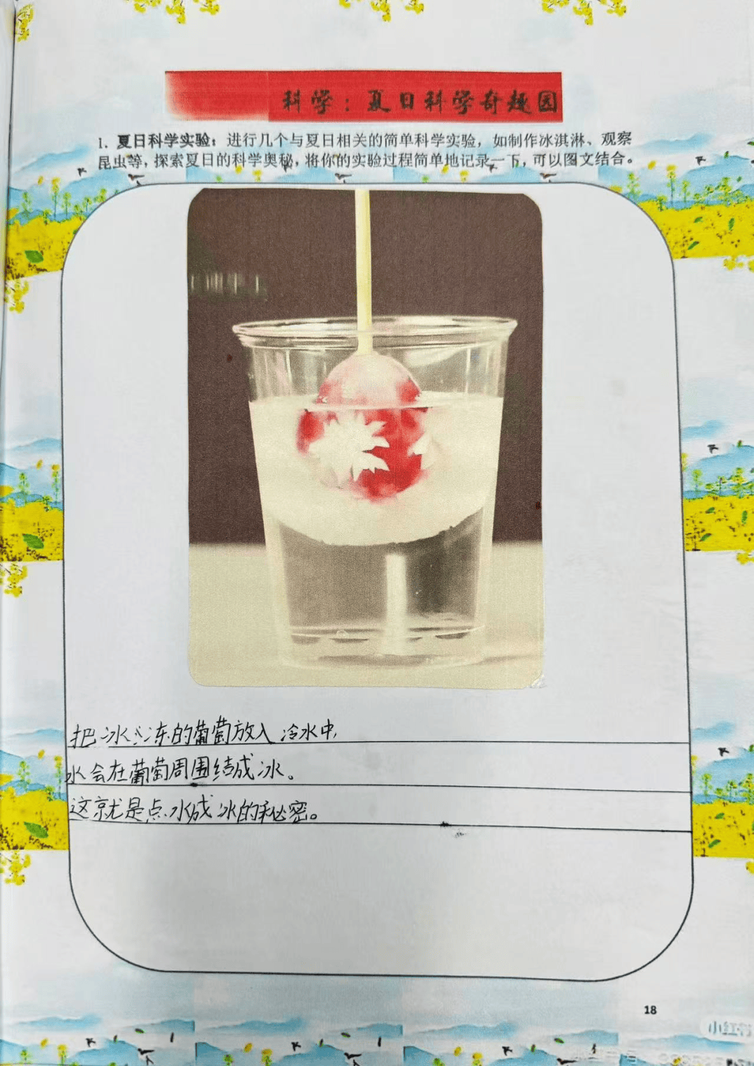 【五三·成长作业】夏日科学奇妙游