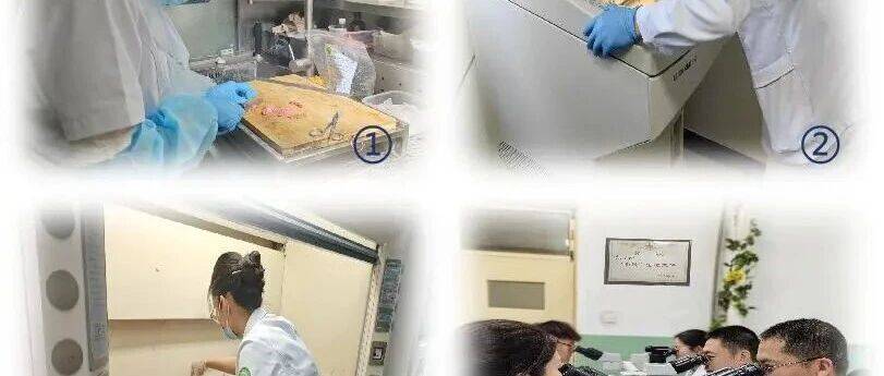 手术中的“决策时刻”：揭秘病理科核心技术之术中冰冻_诊断_组织_患者