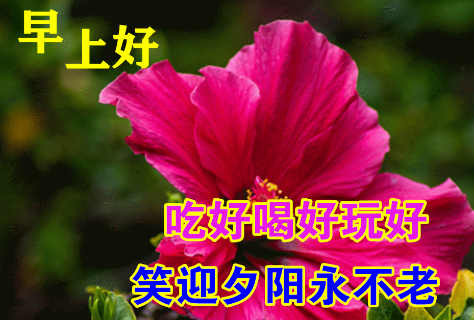 早上好动态表情图片及动图美图大全 朋友是雨中的伞