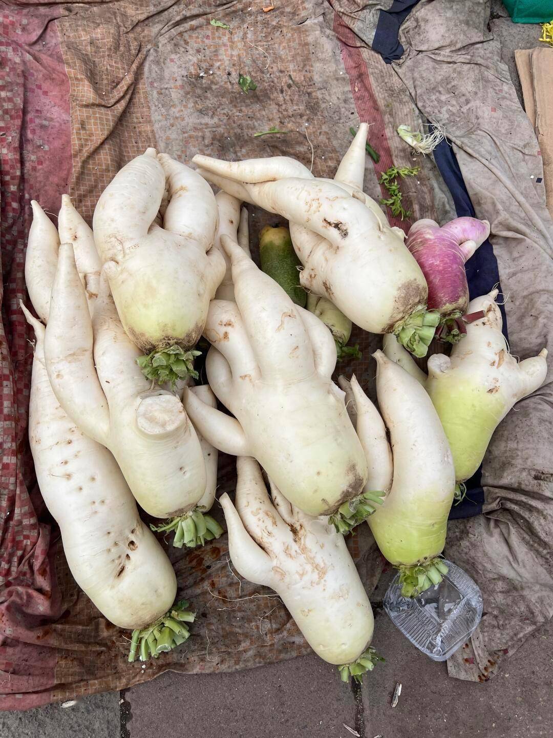 蘑菇野菜晒了一院子炖汤炒菜格外香我们订的是带厨房的民居