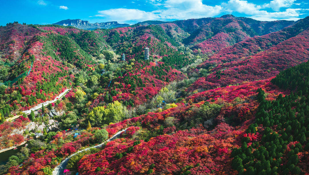 漫山秋色入画来，金秋来红叶谷共赴一场秋色与欢乐的盛宴