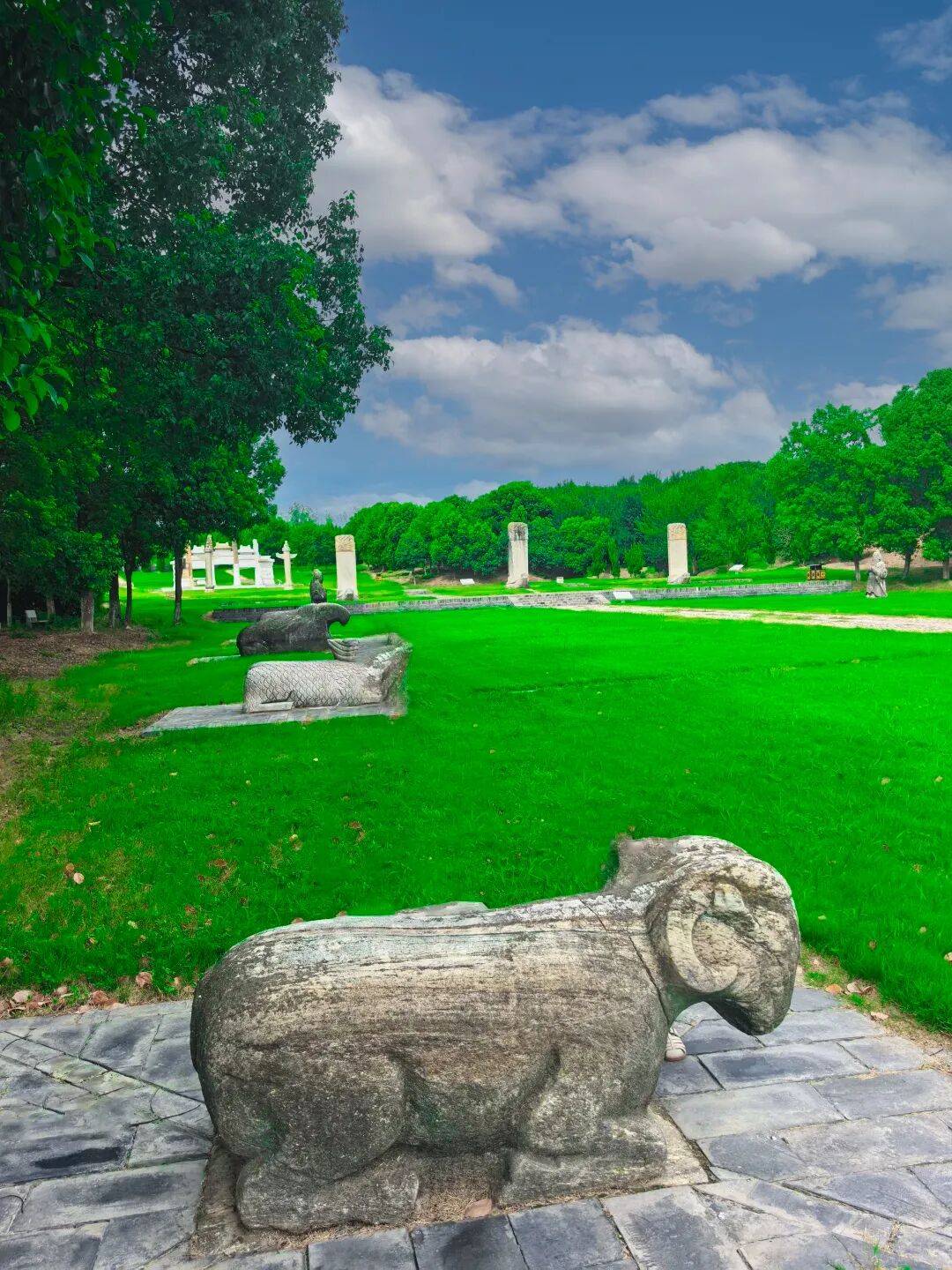 开学季来钟祥开启行走的课堂