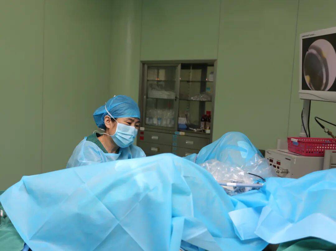 种妇科常见病,多发病的诊治,包括宫颈病变,子宫肌瘤,卵巢肿瘤,宫外孕