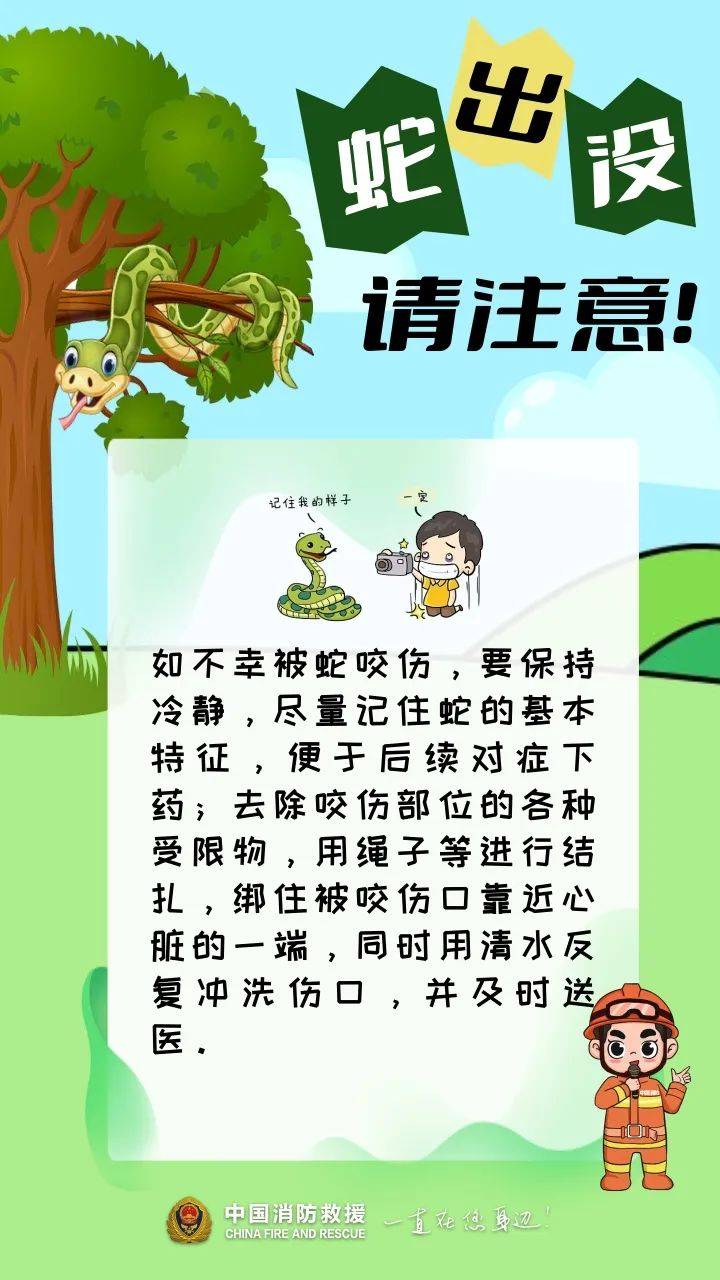 事发广东！20斤蟒蛇竟“一口闷”生吞小牛犊，抓捕时张开血盆大口
