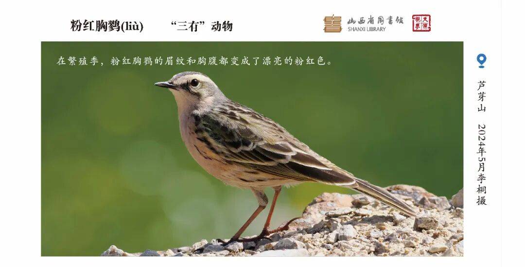 【幸福家园】线上展览