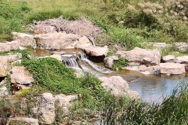 金秋漫步秀水廊道，一步一景宛如画中游