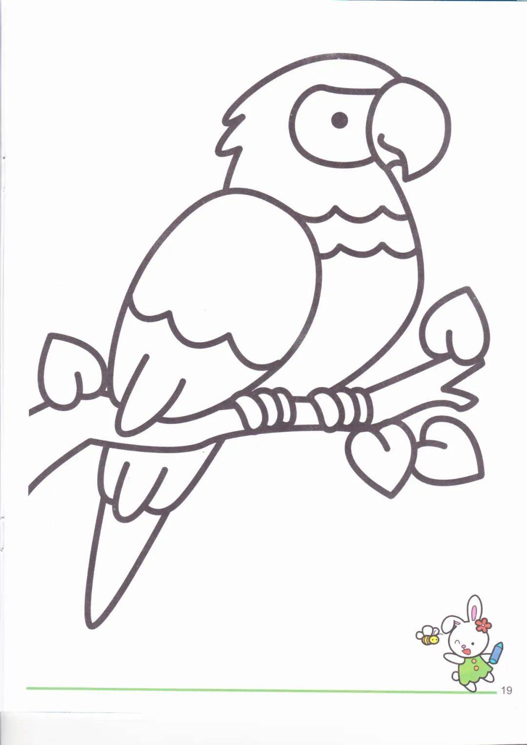 幼儿园涂色画160张