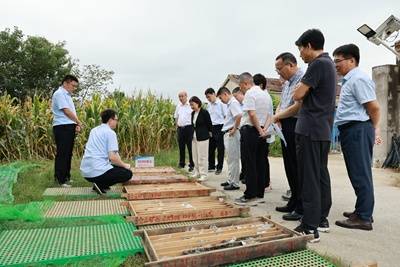 江苏句容发现一处金矿 有望新增金金属资源量超5吨