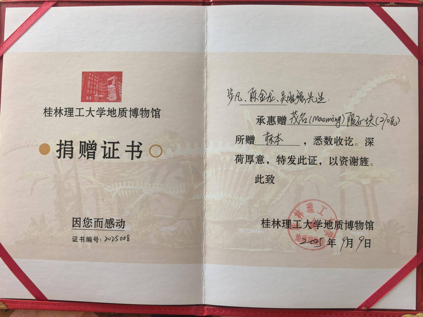 陨石猎人算出“火流星”落地点，挖出423公斤的“茂名”：跟做梦一样，感觉很恍惚