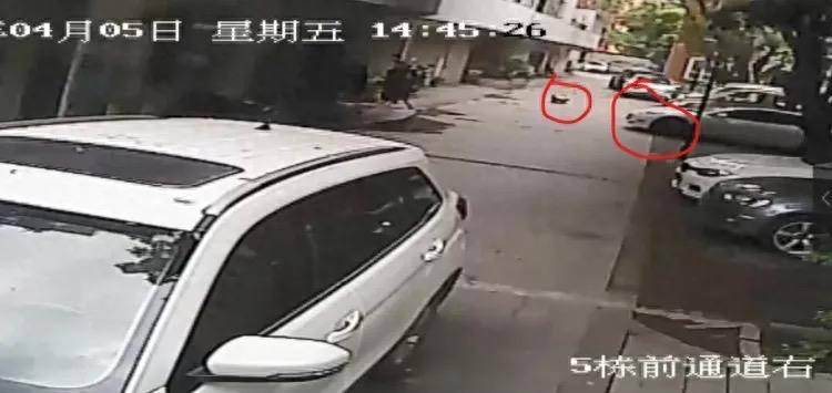 特斯拉碾压幼童案二审维持原判，车主获刑10个月 车主：将考虑上诉