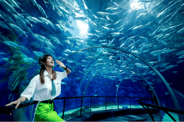 “看，谁在海里发光！”金秋十月，来上海海洋水族馆寻找会发光的海洋精灵