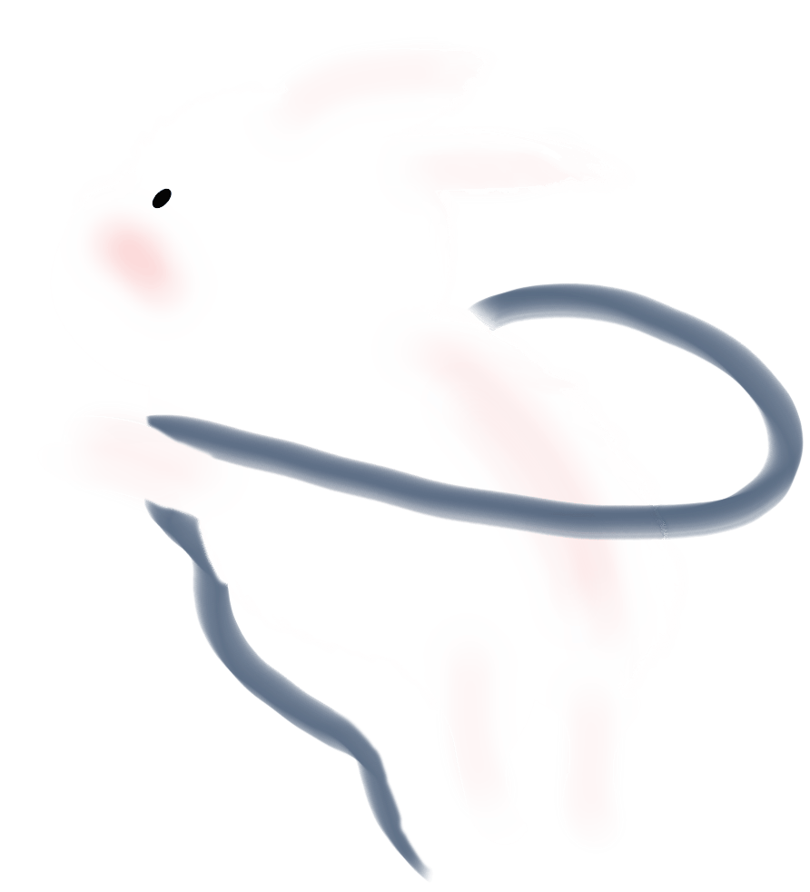 月满中秋,"香"约佳节