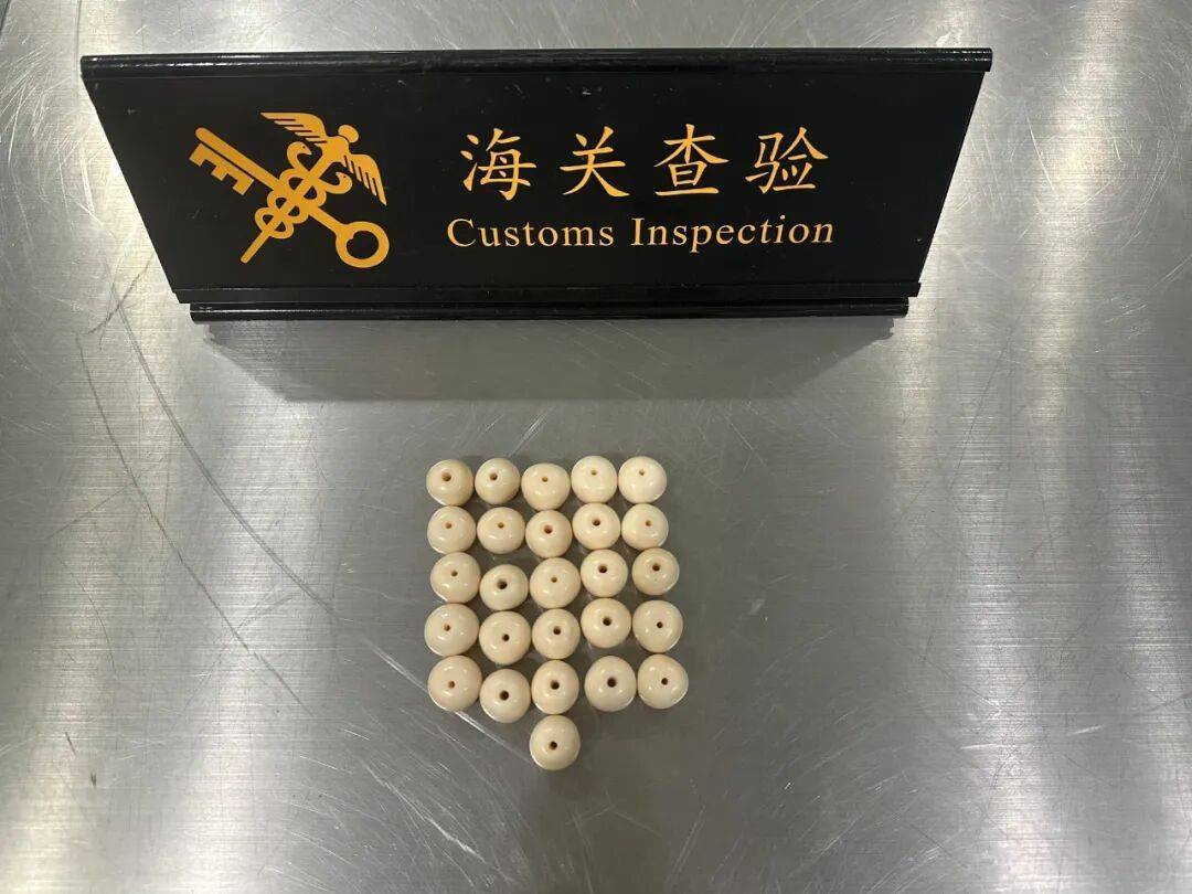 杭州萧山机场海关拦截查获象牙珠子26件，一旅客将其混装在坚果罐头中