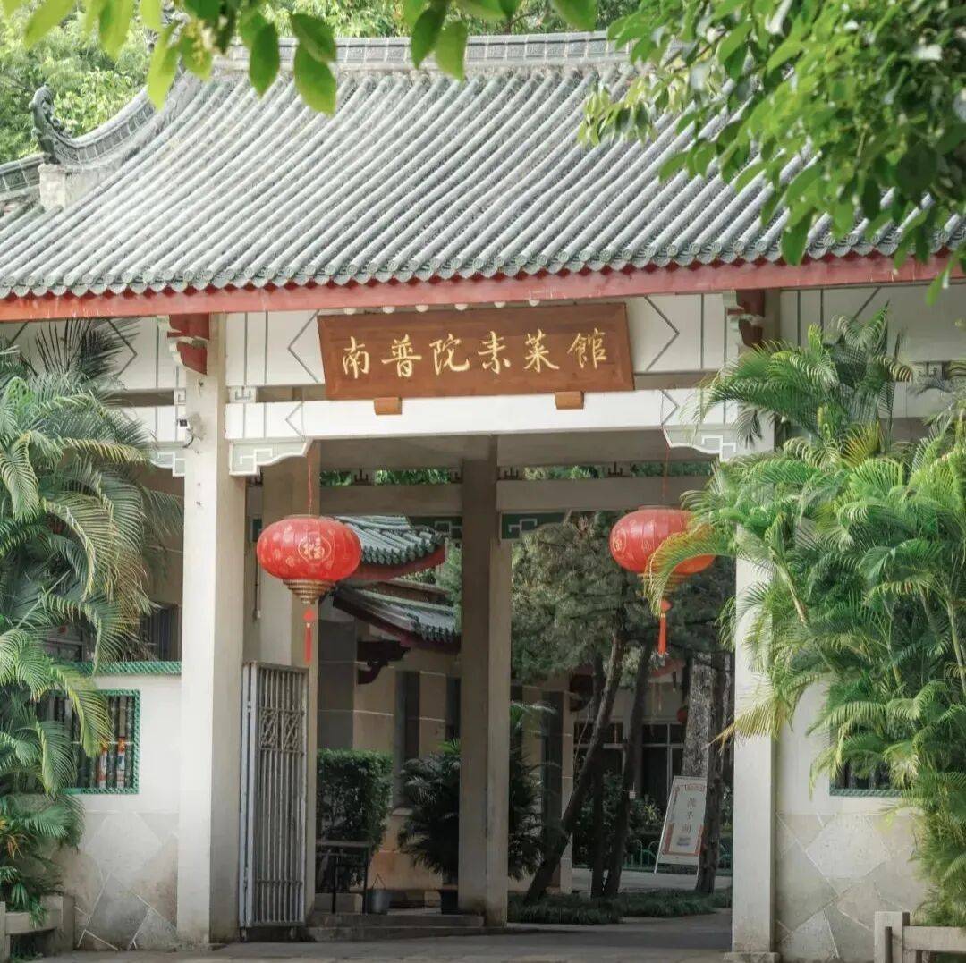 文章配图-46