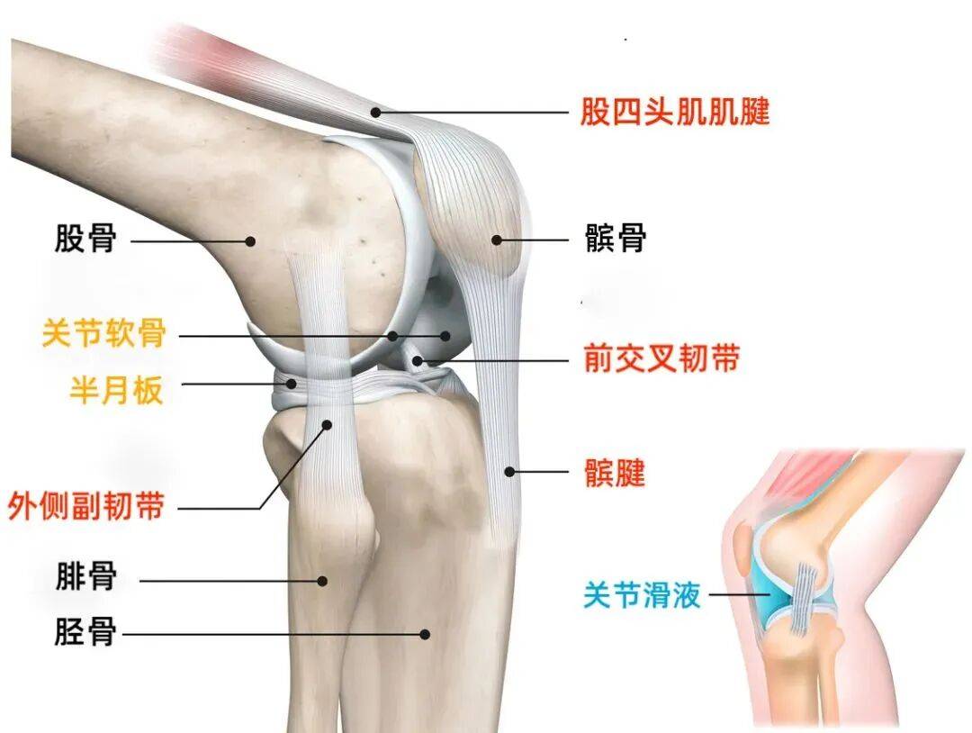 这个动作最伤膝盖,你每天都在做