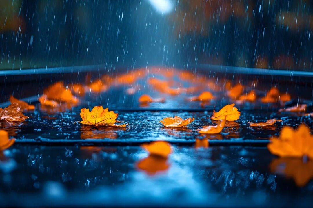 一场秋雨一场凉,名家笔下的秋雨是这样的