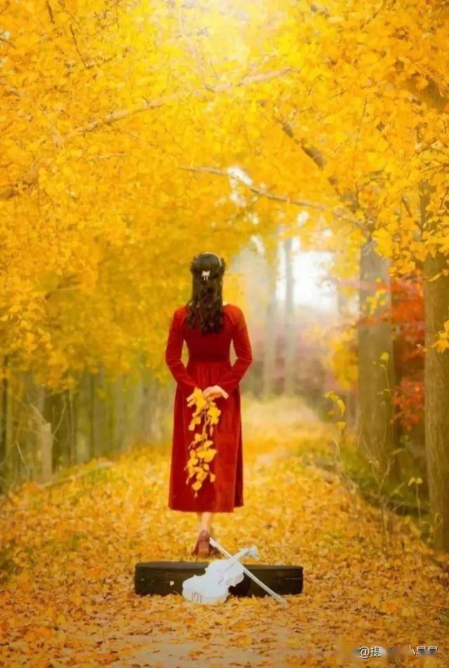 6个妙招让你的秋日摄影瞬间出圈
