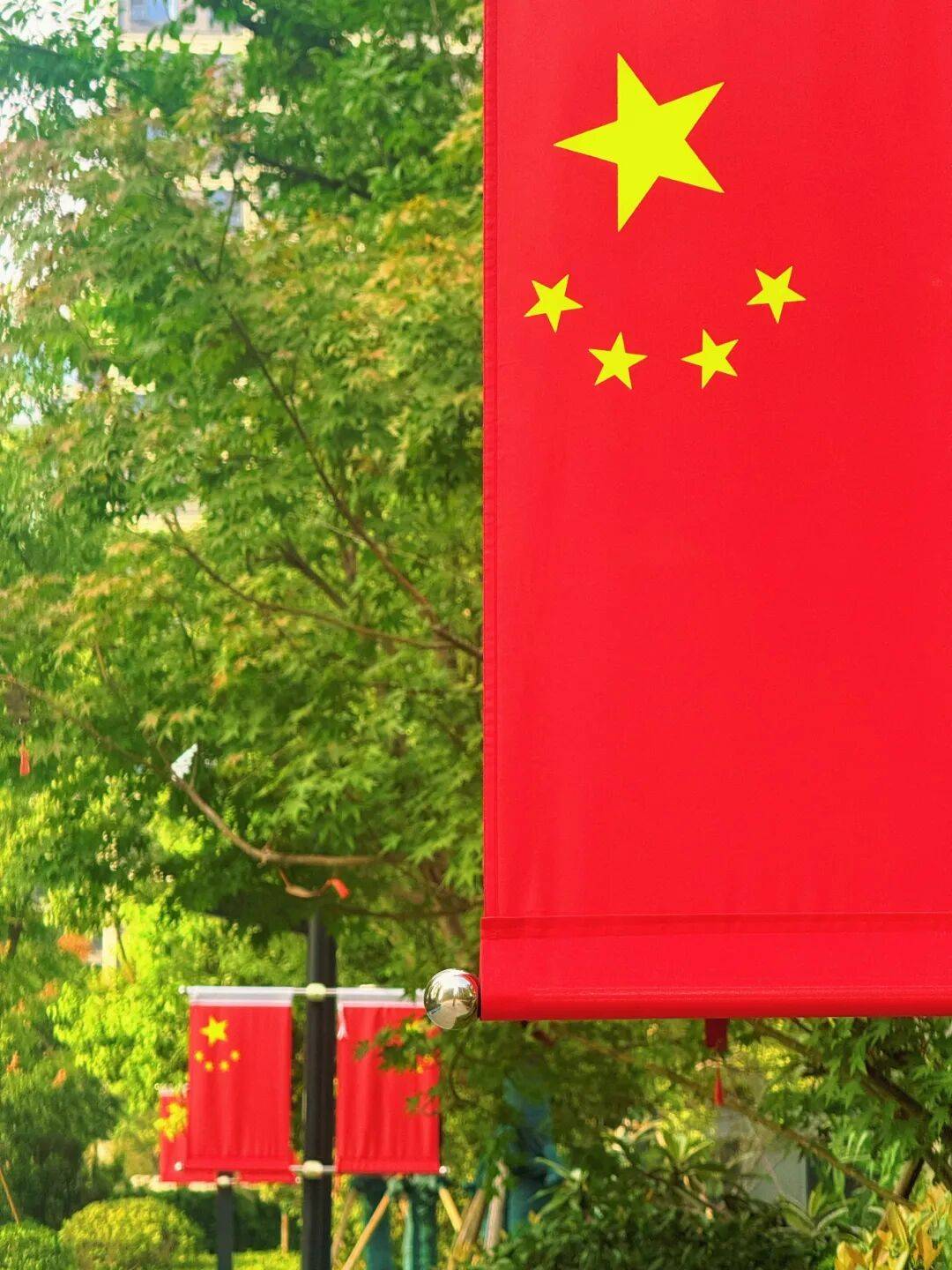 满城"中国红",向祖国告白!