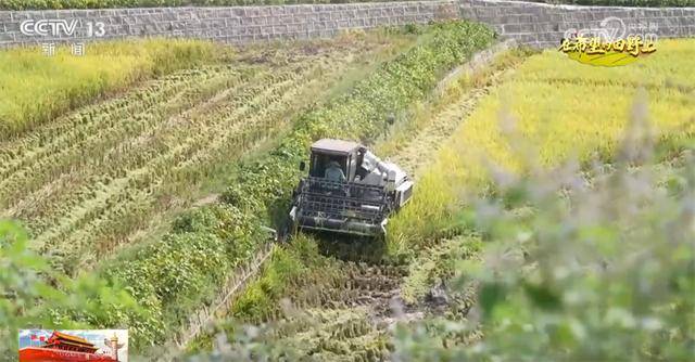 良机良技良法护航秋日“丰”景 “科技+”为乡村产业振兴注入鲜活动能