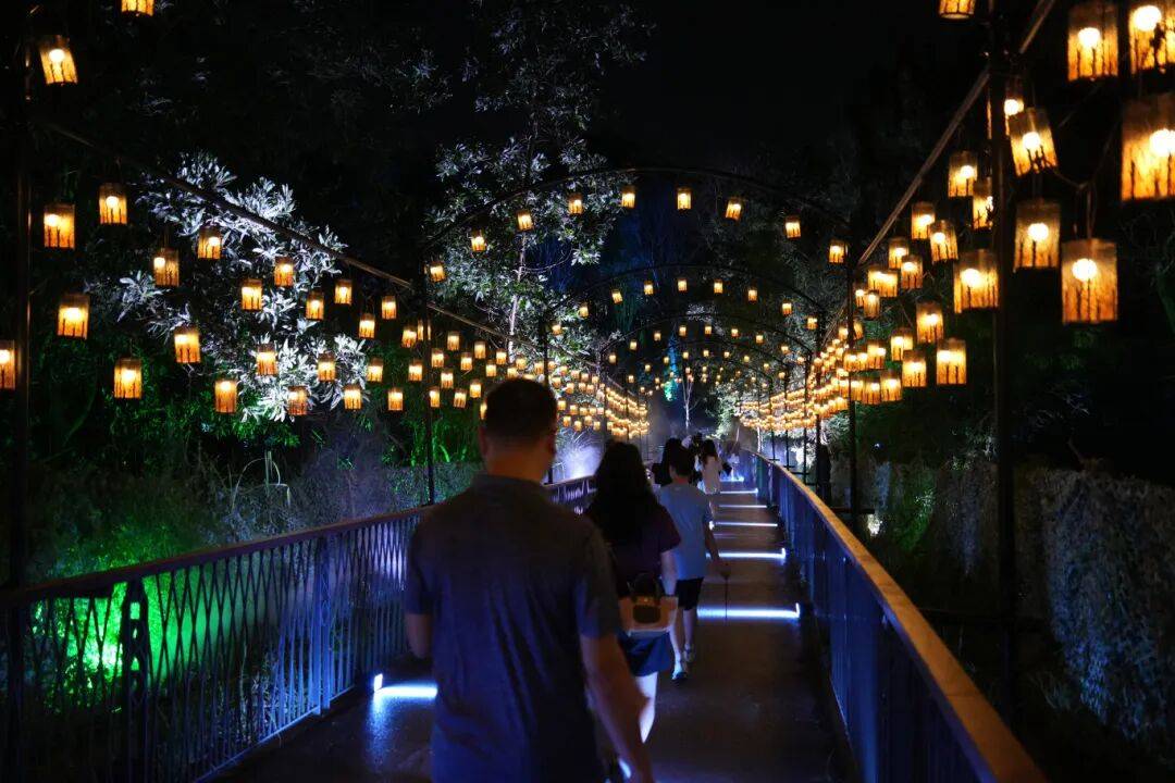 “魔法森林”，来深圳了！