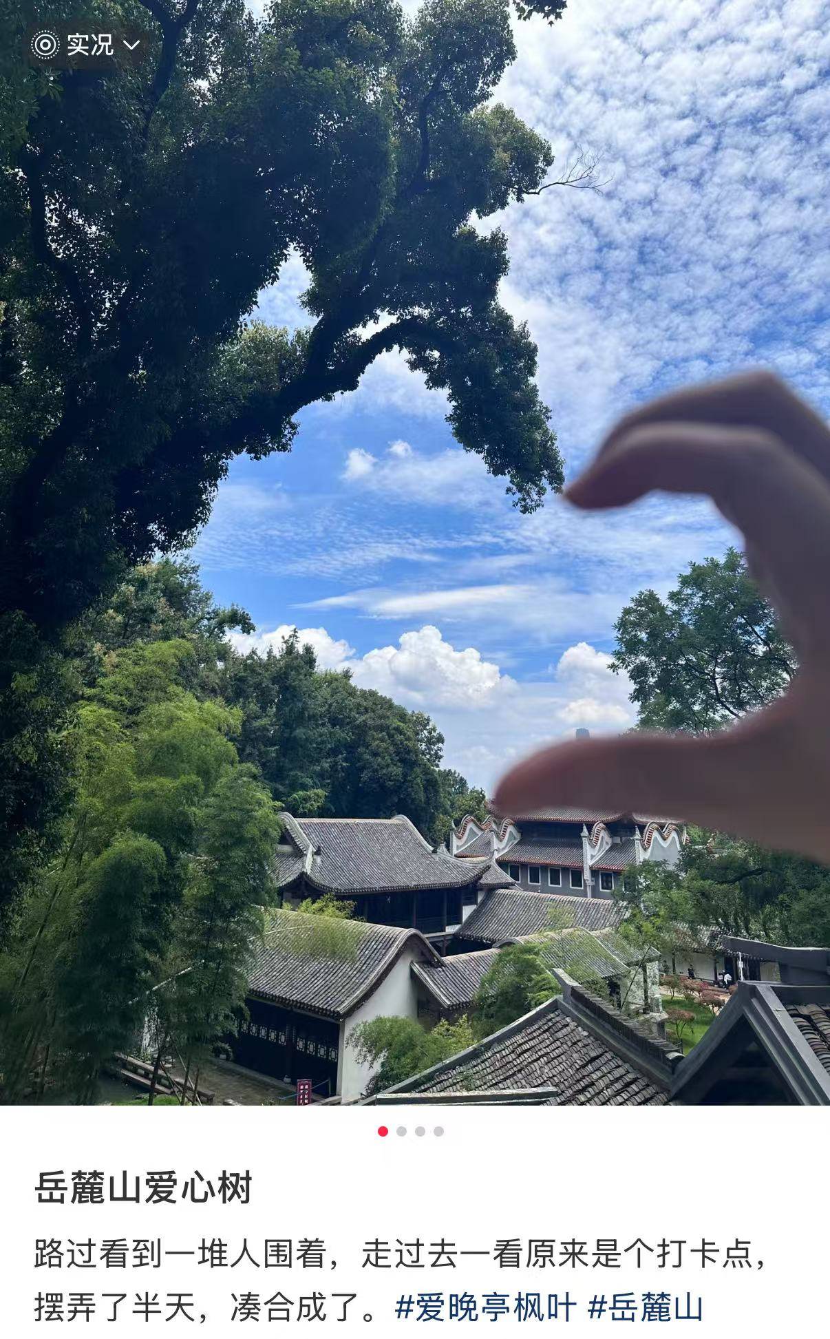 步行没多远便看到不少游客聚集在路边对着一棵树做着比心的动作