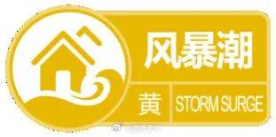 逼近湛江！防风Ⅱ级应急响应！多预警齐发！台风“麦德姆”预计…