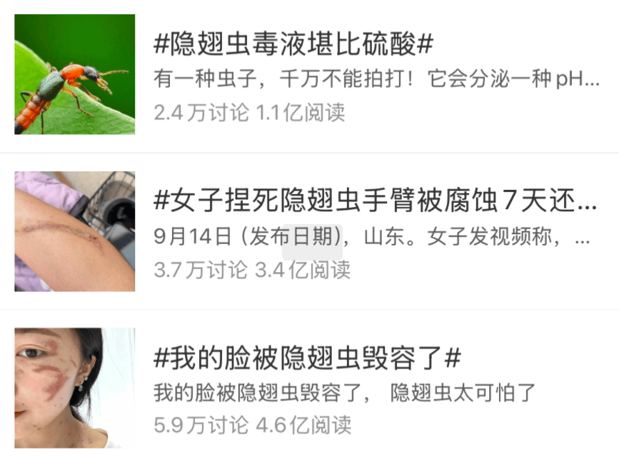 有人因此“毁容”！近期这种虫子很活跃，遇到千万不能拍！正确应对只需一招→