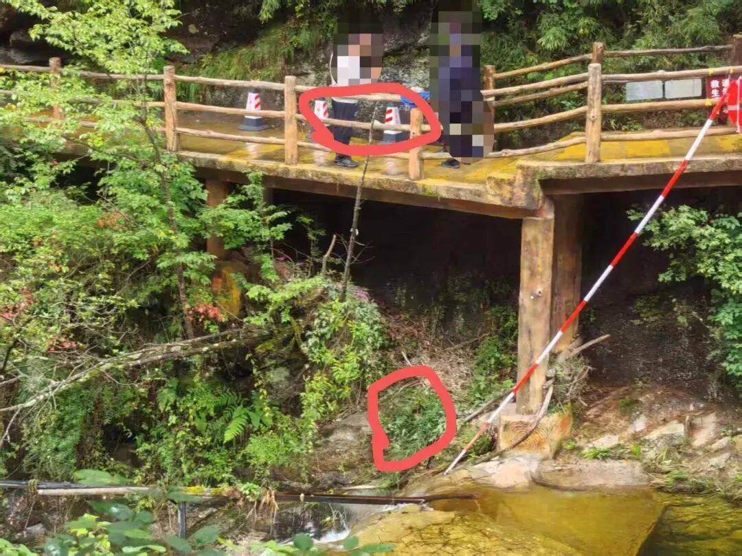 3岁男童从景区4米高栈道旁缝隙坠落，家长称无警示标识，景区回应