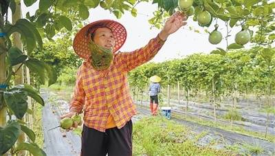 民生福祉达到新水平（新时代画卷·决战决胜“十四五”）
