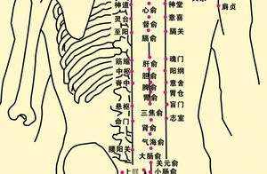 关元俞穴:温肾健脾、调经止痛的“腰部护腹穴”!位置功效全攻略_经期_经络_效果